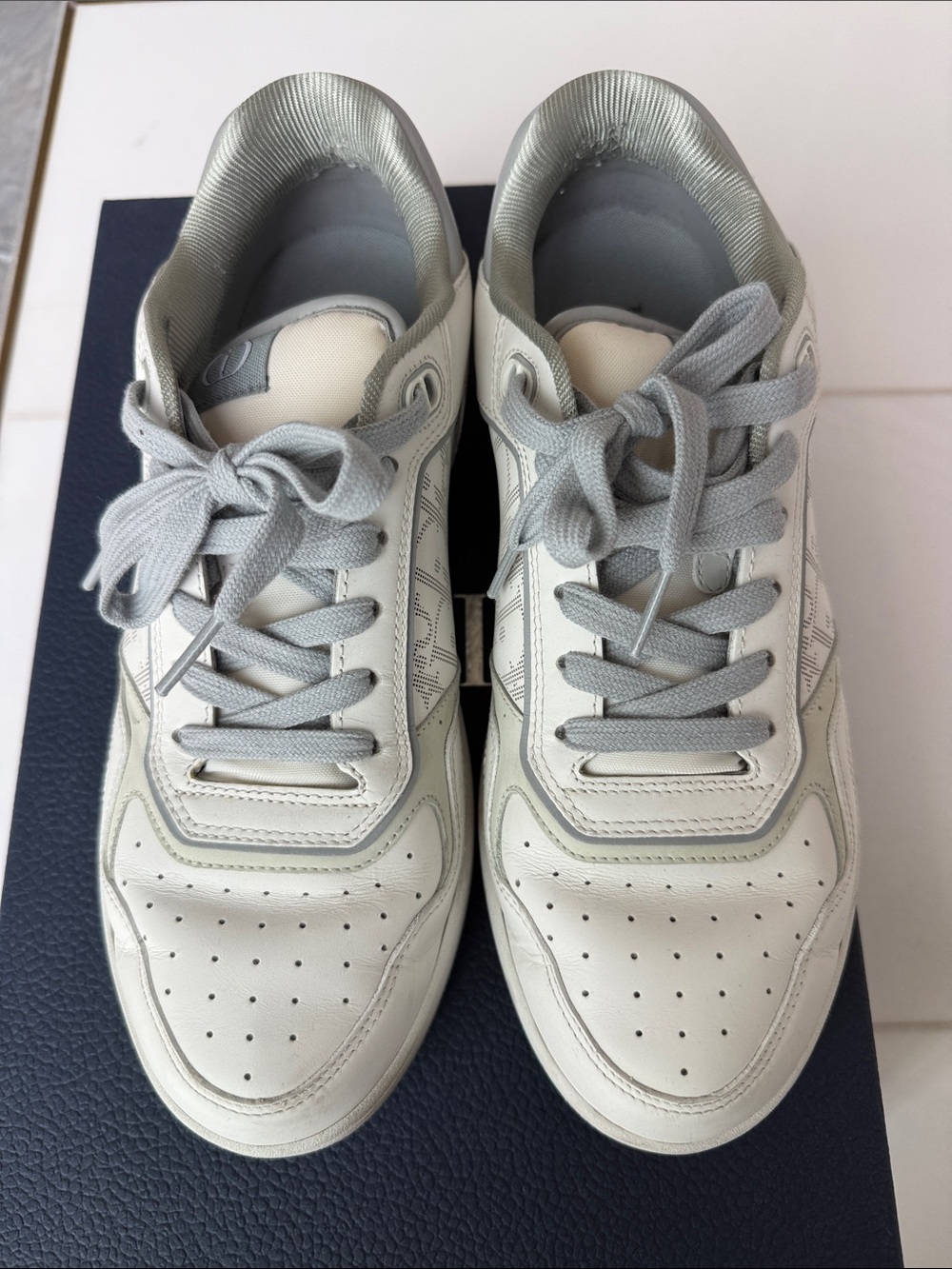 Dior B27 low Top Sneakers white and gray leather oblique jacquard panels